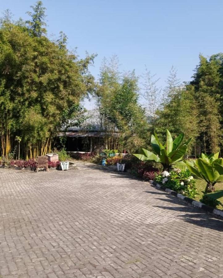 Le Bambou Gorilla Lodge Kinigi ภายนอก รูปภาพ