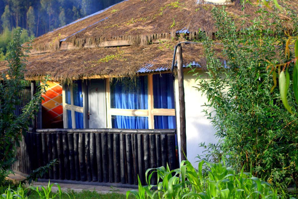 Le Bambou Gorilla Lodge Kinigi ห้อง รูปภาพ