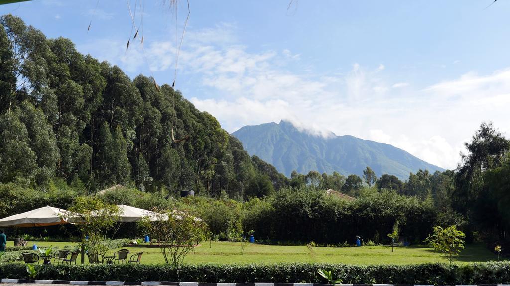 Le Bambou Gorilla Lodge Kinigi ภายนอก รูปภาพ
