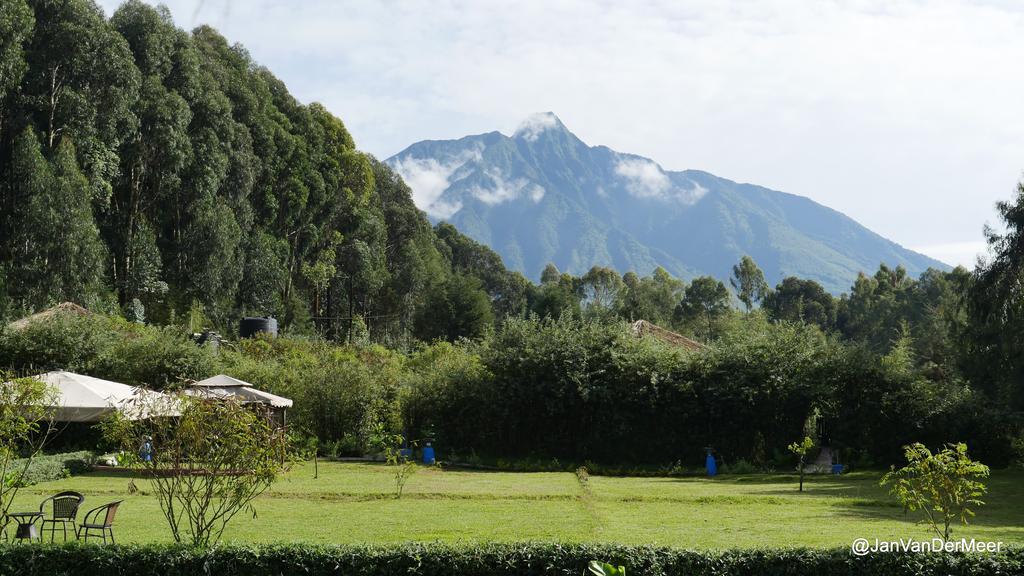 Le Bambou Gorilla Lodge Kinigi ภายนอก รูปภาพ