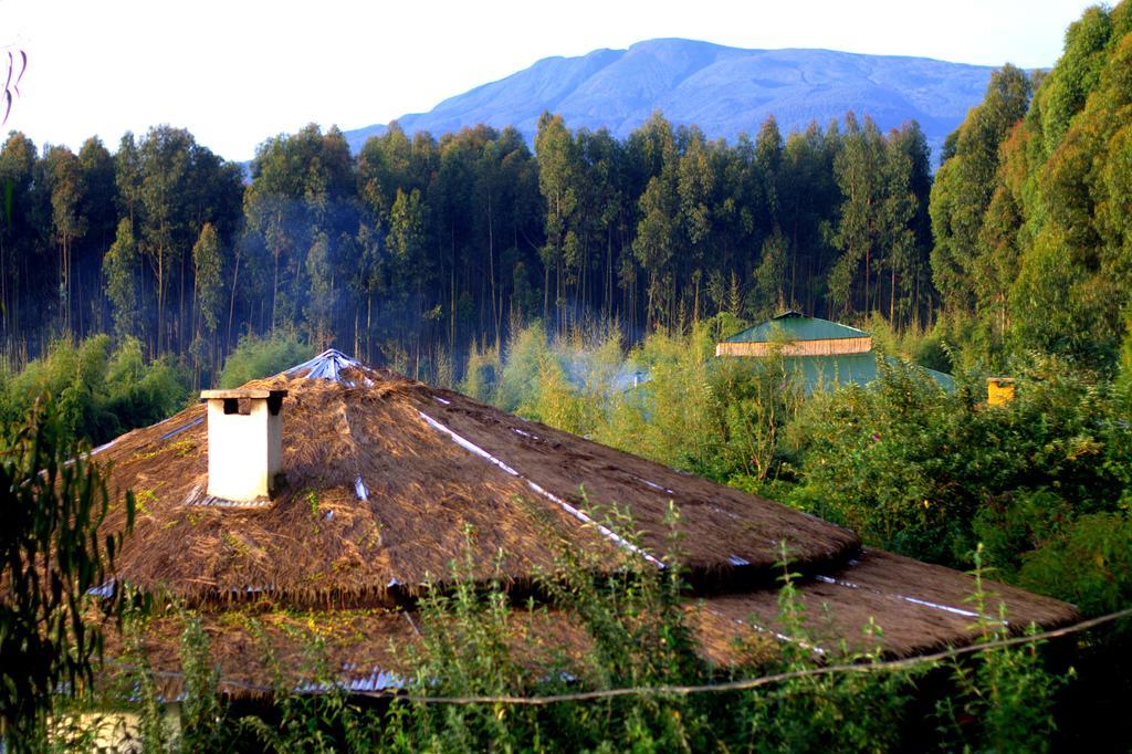 Le Bambou Gorilla Lodge Kinigi ภายนอก รูปภาพ