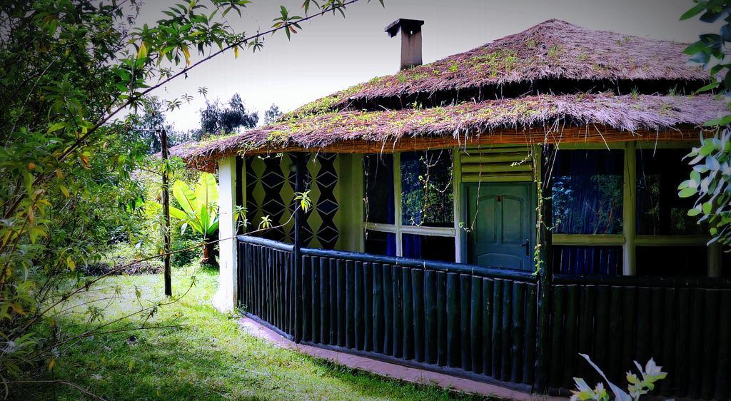 Le Bambou Gorilla Lodge Kinigi ภายนอก รูปภาพ